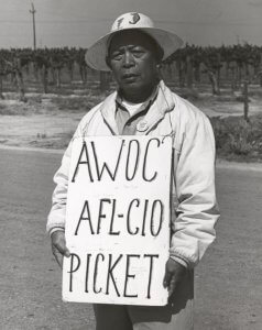 A Filipino picketer holds a sign showing the support of the AFL-CIO and AWOC (Agricultural Workers Organizing Committee) for the Grape Strike, Delano, California. Credit: The Reuther Library