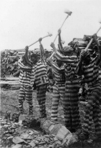Convict Laborers in South Carolina, 1934