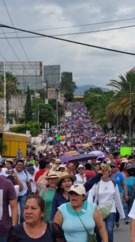 A mega march in Oaxaca City the day after the killings. Photo by Oscar Martínez.