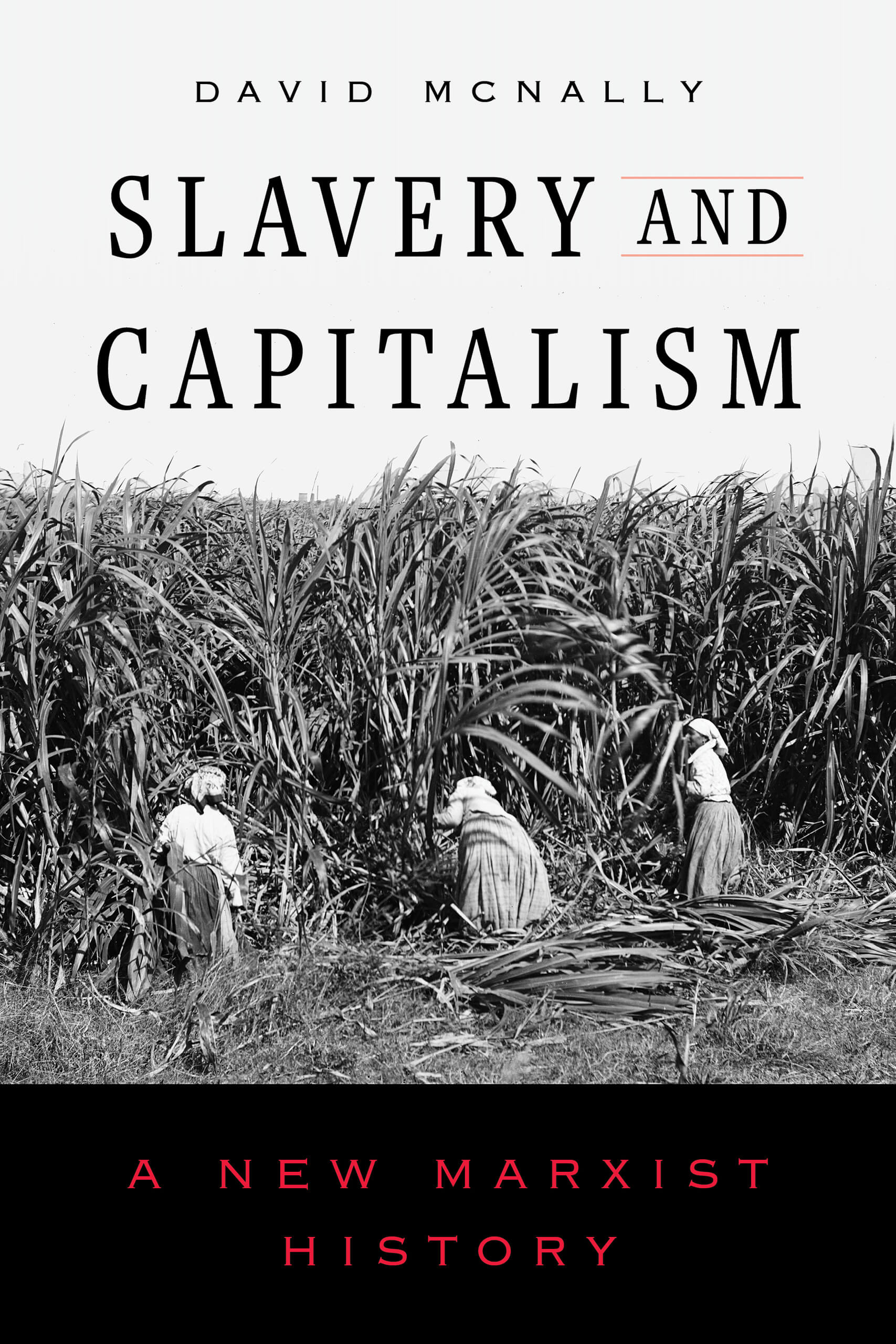mcnally slavery and capitalism cover